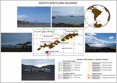 Occurrence of Soil Fungi in Antarctic Pristine Environments